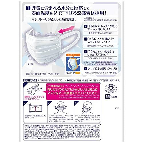【セット販売】超快適マスク 涼感 マイナス2℃ 風邪・花粉用 プリーツタイプ ふつう6枚入×5個セット〔PM2.5対応 日本製 ノーズフィット〕 |  | 01