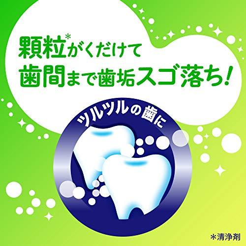 【まとめ買い】 クリアクリーン ハミガキ ナチュラルミント 大容量 170g × 3本セット [医薬部外品]｜atcollet｜04