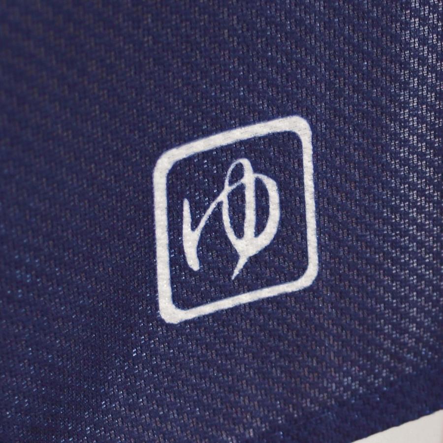 道後温泉 タペストリー 約70cm 道後温泉 タペストリー 約70cm 道後温泉 タペストリー 約70cm