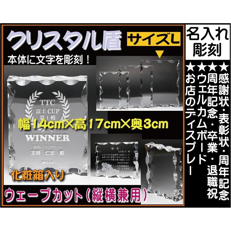 ≪ ≫ DP-10L（大）【楽ギフ_名入れ】【名入れ無料】【名入れ記念品】