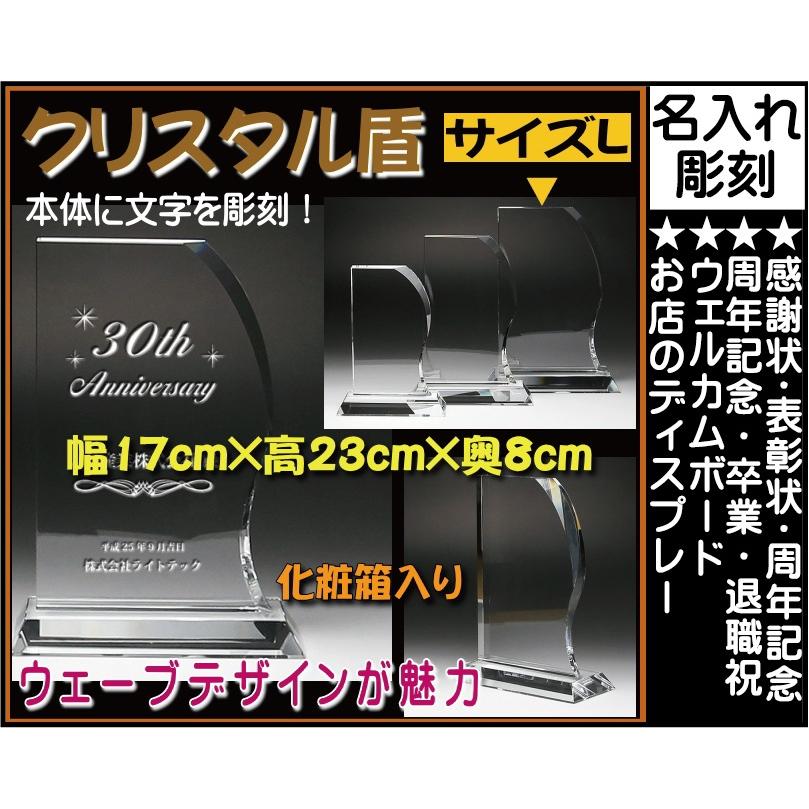 ≪感謝状 ≫ DP-11L（大）【楽ギフ_名入れ】【名入れ無料】【名入れ記念品】
