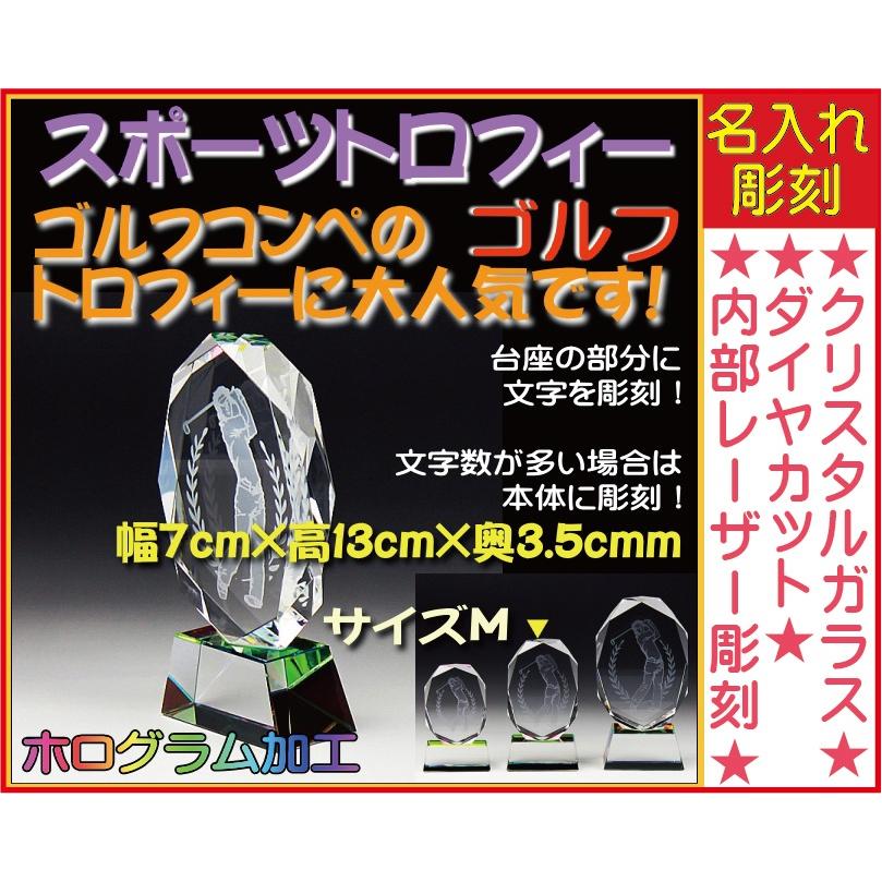 ≪トロフィー ≫スポーツ大会などの記念品として！★完全オリジナルデザイン★アレンジデザインOK 〔サイズM：7cm×13cm×3.5cm〕10P26Mar16