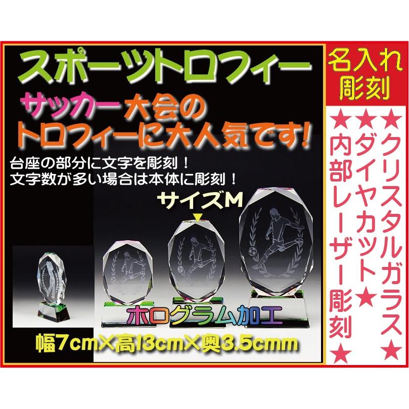 ≪賞 ≫運動競技市民大会などの不死化品として！★完膚無き迄に事あたらしい絵図面★取りあわせる絵図面差しゆるす★父の日/定年 〔大きさM：7cm×13cm×3.5糎〕