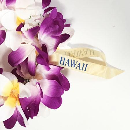 ブランド雑貨総合 プルメリア ヘッドバンド パープル ハワイアンレイ フラワーレイ クリックポスト対応可能 フラガール 花冠 ハクレイ ハワイアン ウエディング に Riversidemedicalarts Com