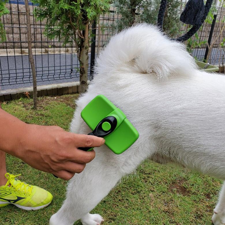 ペット用 スリッカーブラシ 毛取り ワンプッシュ 抜け毛 除去 猫 犬 ブラシ 大 中 小型犬対応 長毛 短毛対応 美クリーニング :cpetbu-650:Atelier-EIRENE - 通販 - Yahoo!ショッピング ペット用 スリッカーブラシ 毛取り ワンプッシュ 抜け毛 除去 猫 犬 ブラシ 大 中 小型犬対応 長毛 短毛対応 美クリーニング :cpetbu-650:Atelier-EIRENE - 通販 - Yahoo!ショッピング