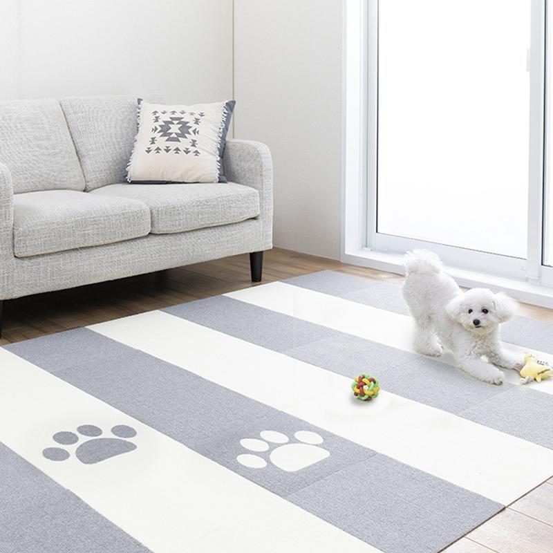 未開栓・希少】カリラ 11年 SMWS 53.90 未開栓・希少】カリラ 11年