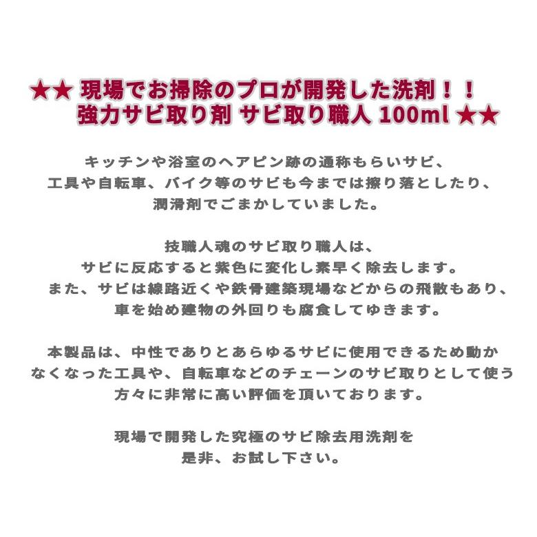 サビ取り職人 100ml 強力サビ取り剤 洗剤 さび取り サビ落とし 技職人魂 さびとり サビ取り 錆 取り ヘアピン跡 サビ 落とす サビ除去｜atelier-eirene｜08