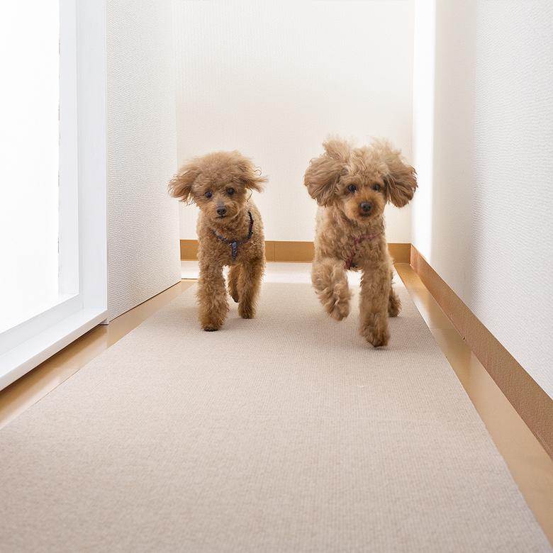 ペットマット ロング型 滑り防止 カーペット 60 300cm 約4mm フローリング 滑り止め 撥水 床保護マット 床暖房対応 日本製 送料無料 Skpm 3015 Atelier Eirene 通販 Yahoo ショッピング