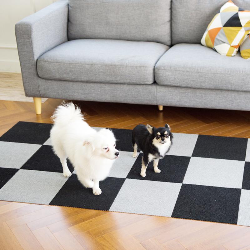 サンコー 【日本製 滑り防止 洗濯OK】ペットマット 1枚 30x30cm 厚み