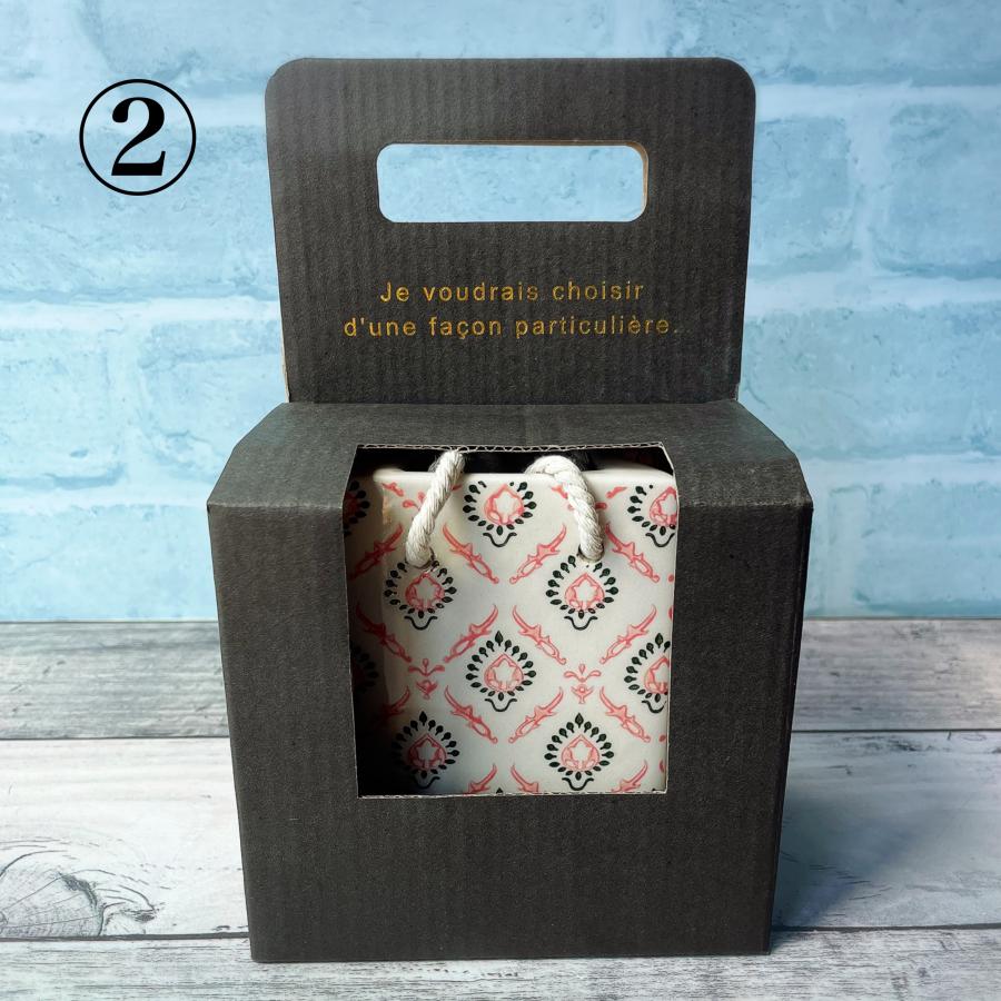 フラワーベース 2種 バック型 壁掛け 2way 置き型 花瓶 パッケージ入り