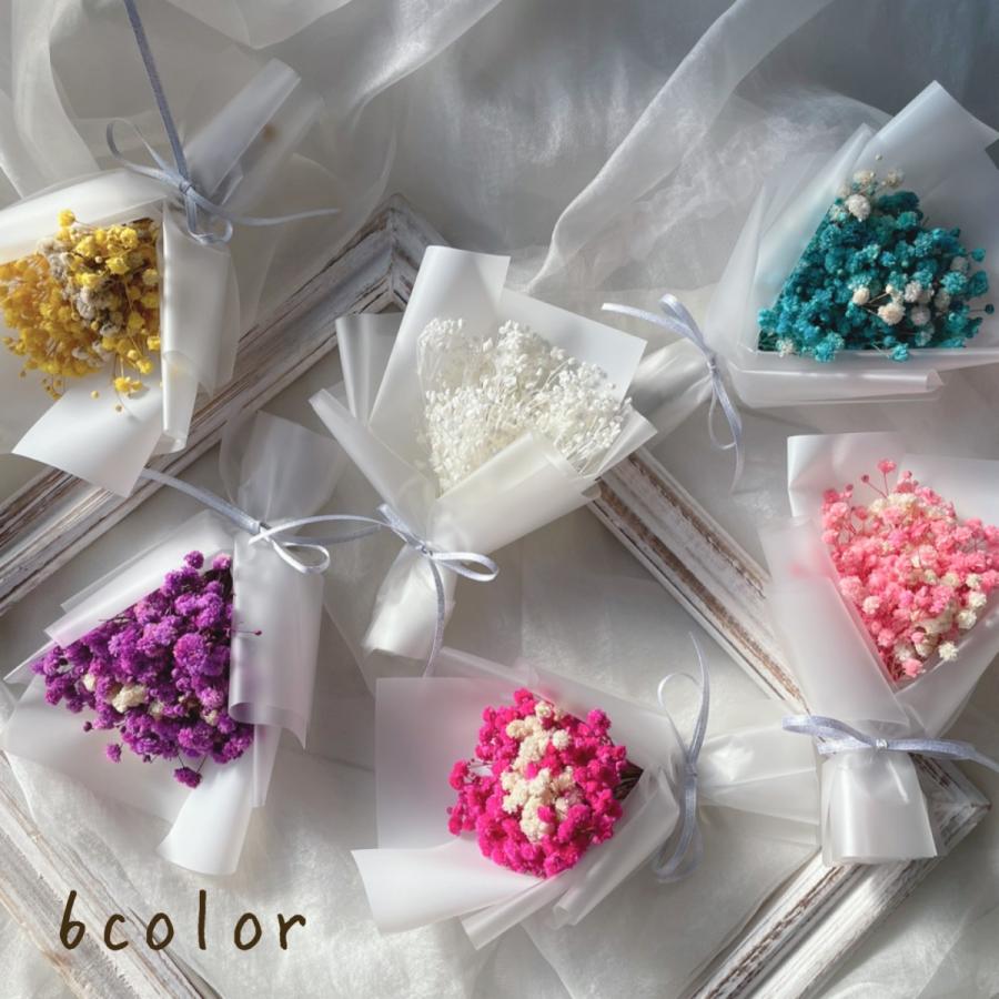 通信販売 かすみ草ドライブーケ 6色 可愛い おしゃれなブーケ ミニブーケ プレゼント 御礼 ギフトバック 繊細