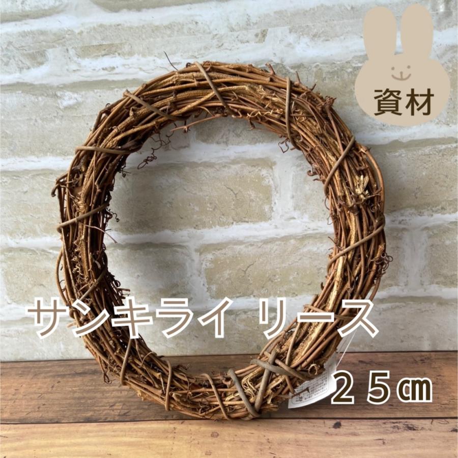 自然素材 サンキライリース 25cm 山帰来 インテリア ディスプレイ