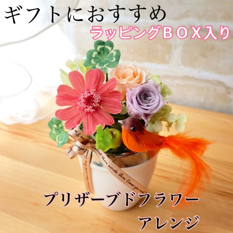 プリザーブドフラワーアレンジ 全4色 小鳥 ジニア 幸せのクローバー 贈り物 プレゼント お祝い アジサイ フルーツ P アトリエアンサンブル 通販 Yahoo ショッピング
