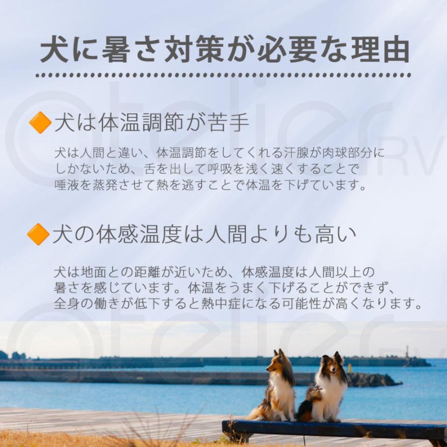 【やっち】ページ　　リクエスト商品のため 先の尖った形状のペンチ | KNIPEX