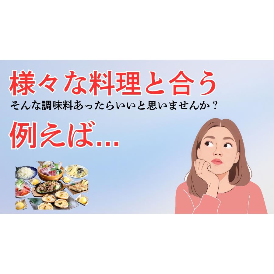 スパイシー 味噌 バター ワイン サラダ 焼肉 スパイシー味噌ドレッシング 450ml 濃縮2倍 期間限定 300円 |  | 02