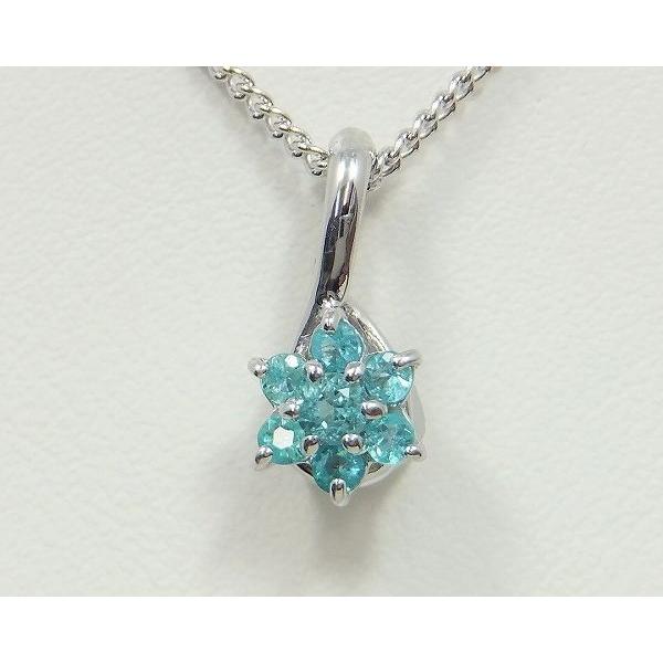 パライバトルマリン ネックレス ペンダント 0.06ct Pt900/K18WG 10月 