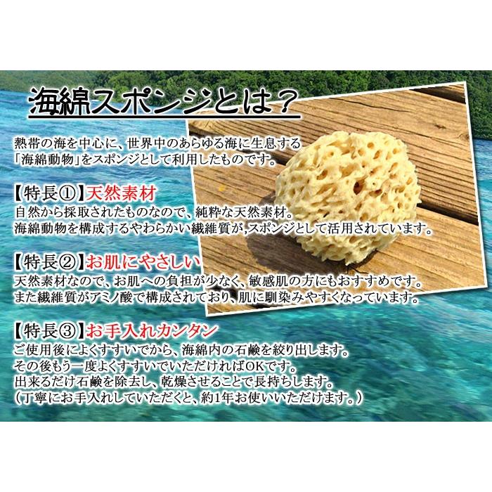 美肌】天然海綿スポンジ 2個セット ちょっと訳あり ハニカム 地中海産