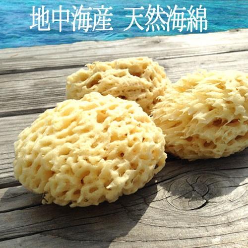美肌】天然海綿スポンジ お得な5個セット ちょっと訳あり ハニカム