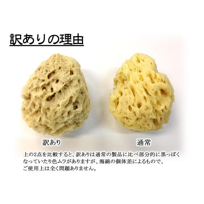 美肌】天然海綿スポンジ お得な5個セット ちょっと訳あり ハニカム