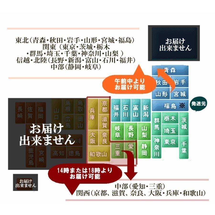 母の日バスケットカーネーションとミニあじさいLパープル遅れてごめんね｜atelier-yuuzen｜06