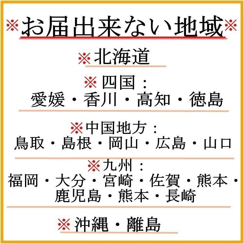 パンダガジュマル8の字仕立て台湾ガジュマル末広がり縁起物 : あとりえ