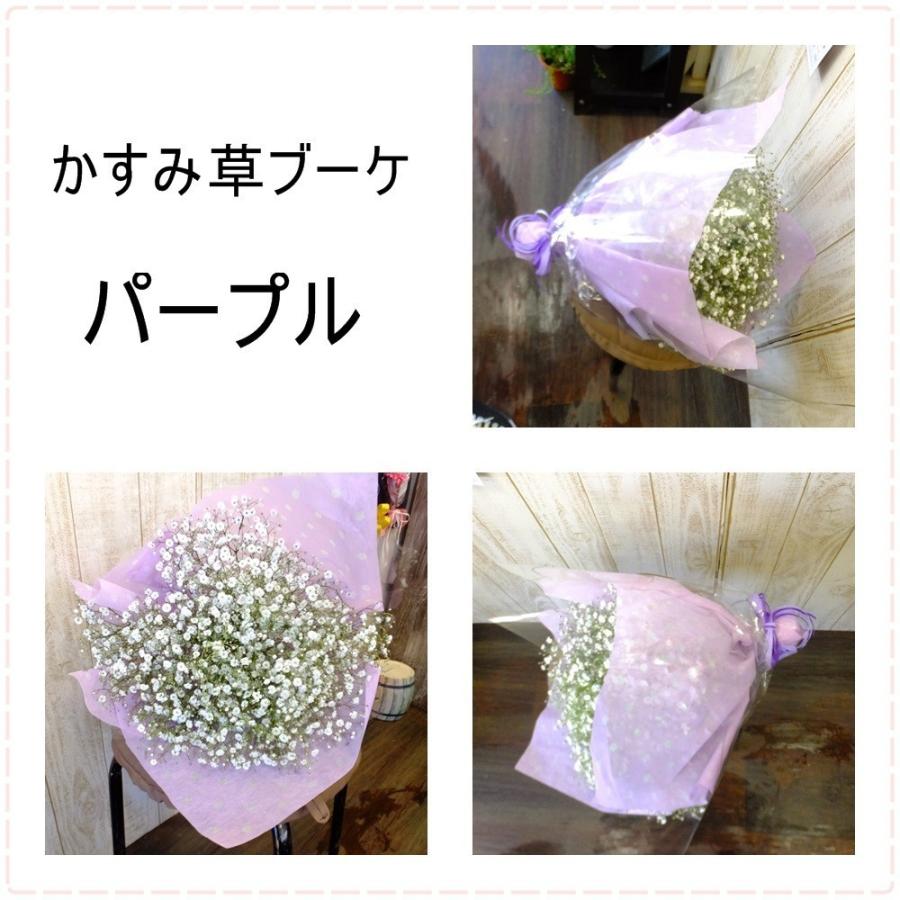 国内配送 かすみ草だけの花束m誕生日 記念日感謝のお花 Aynaelda Com