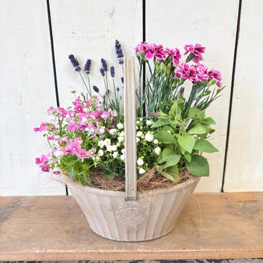 母の日カーネーションと季節のお花寄せ植えM5月7日〜10日までの期間お届け（Yahoo!・あとりえ・悠然）