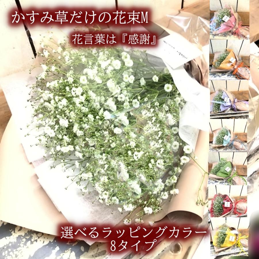 在庫最後 限定1名様 生花白&染かすみ草 在庫最後 限定1名様 生花白&染