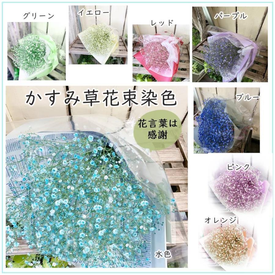 かすみ草花束染め誕生日 記念日感謝のお花ブルー パープル ピンク レッドなど選べる8色 Kasumisou あとりえ 悠然 通販 Yahoo ショッピング