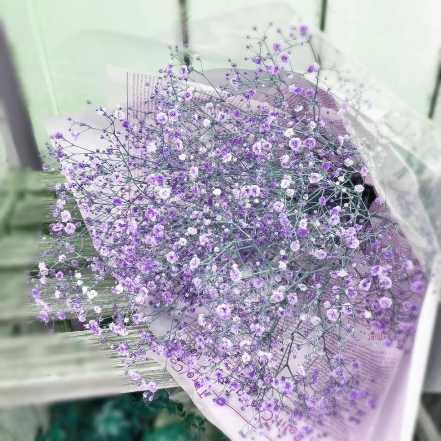 かすみ草花束染め誕生日・記念日感謝のお花ブルー・パープル・ピンク