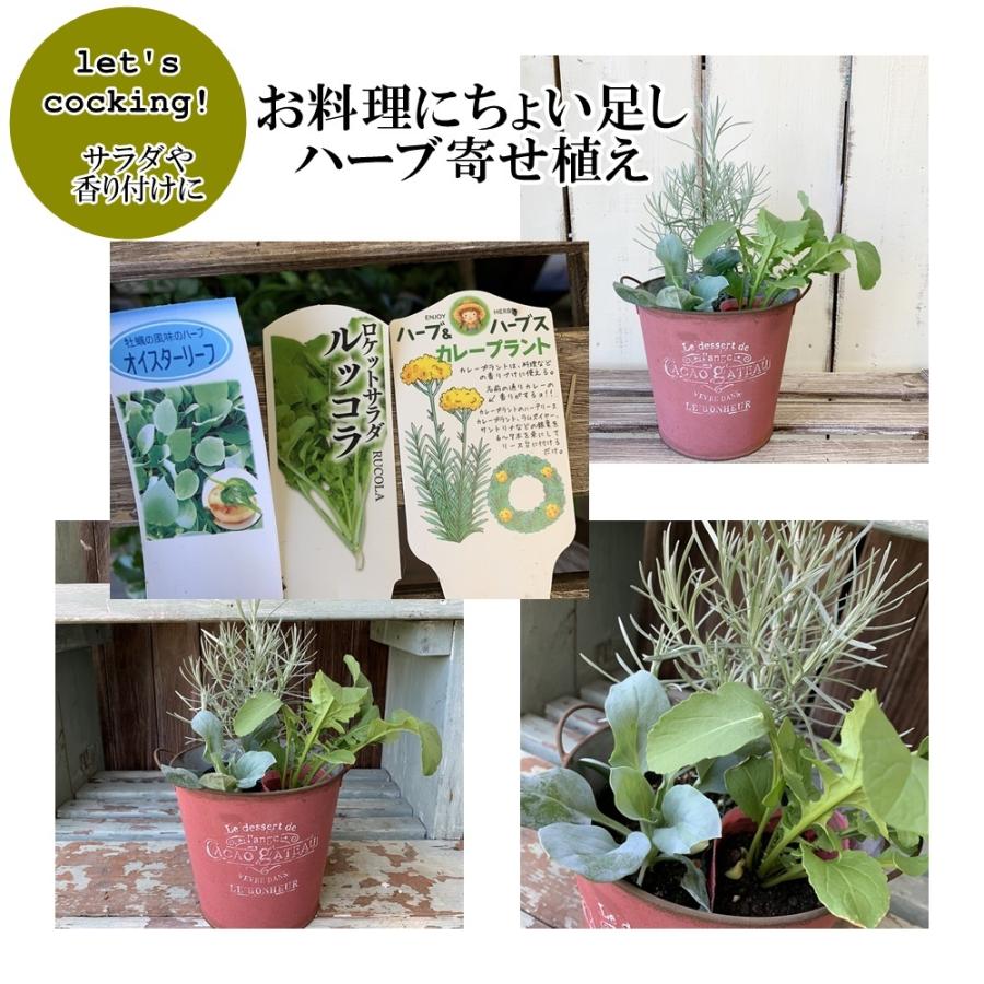 収穫できるハーブ寄せ植えブリキプランター2タイプお料理 ティー Letsh4 あとりえ 悠然 通販 Yahoo ショッピング