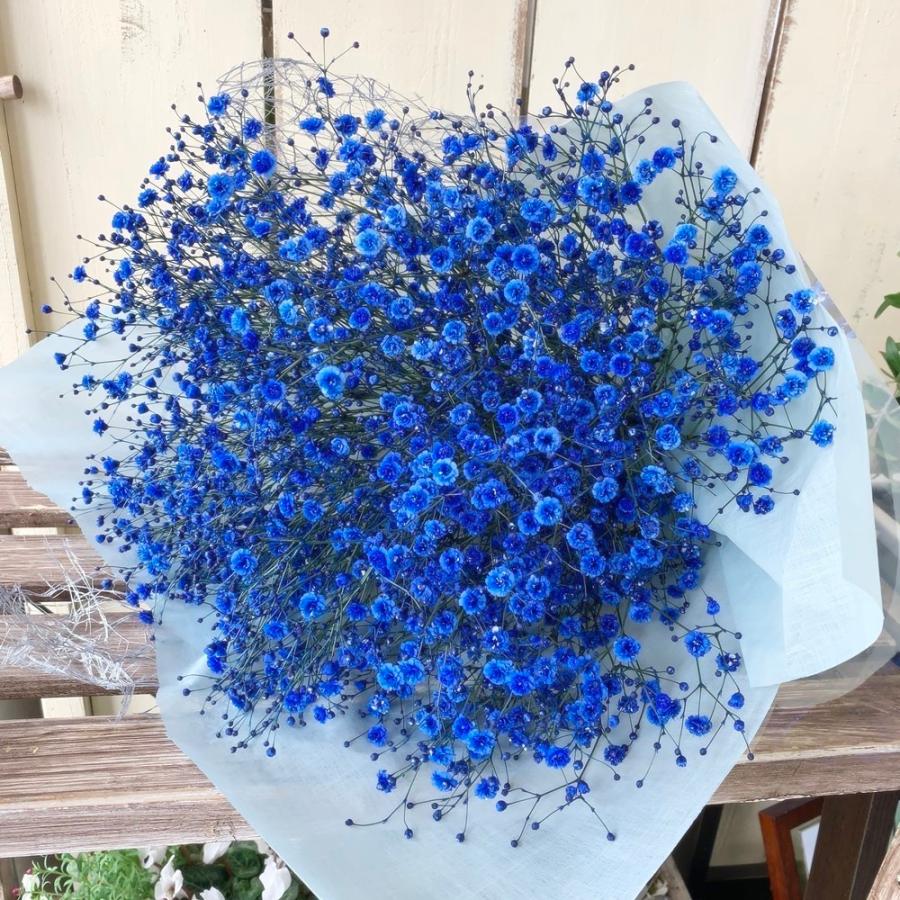 ブルーのかすみ草花束青染めlお供え お盆 新盆クール便 Oscooi あとりえ 悠然 通販 Yahoo ショッピング