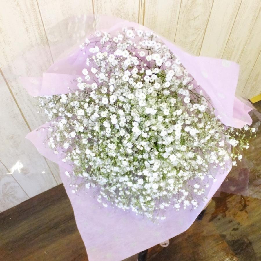 かすみ草だけの花束mお彼岸 お盆 お供え 命日 49日 お悔み 月命日 仏前 花瓶用クール便 Oscooi86 あとりえ 悠然 通販 Yahoo ショッピング