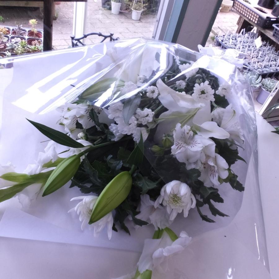 363☆Rose鉢 モルタル雑貨 （お任せ植物付き）300