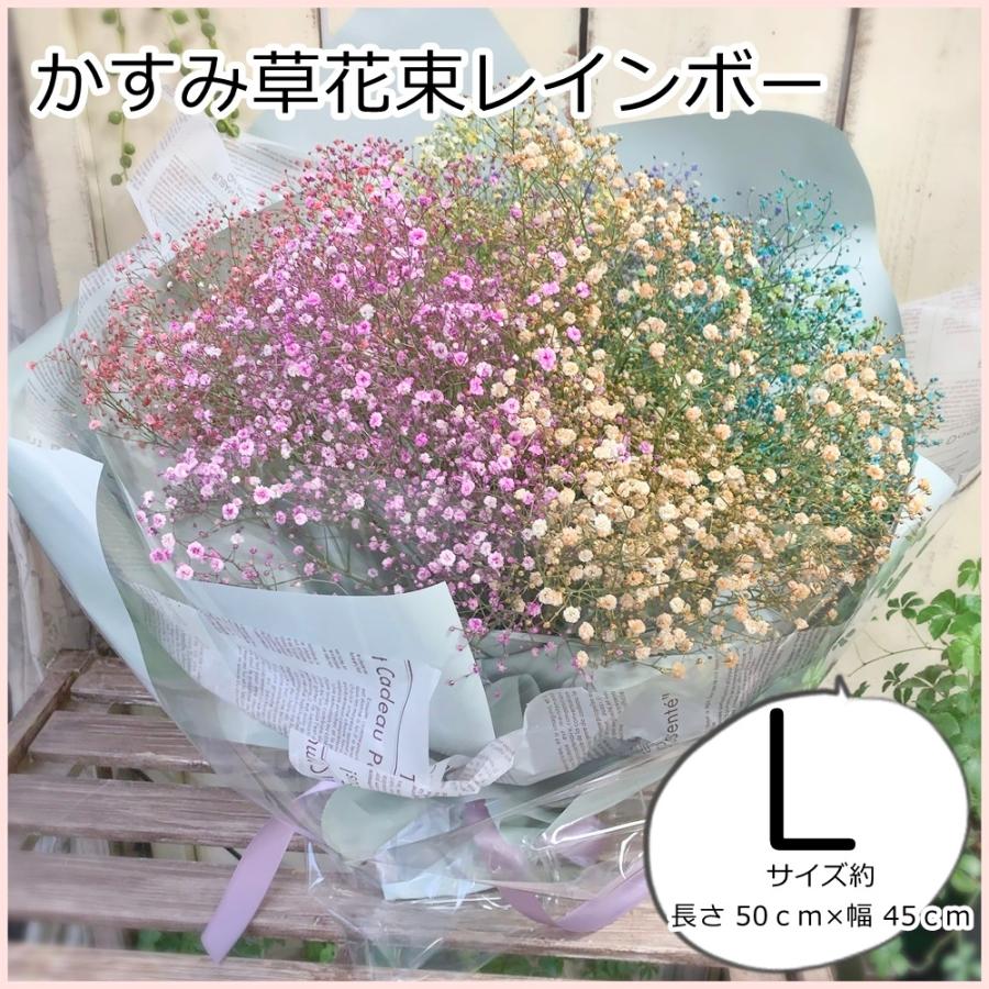 かすみ草花束染めレインボーｌ誕生日 記念日感謝のお花 Rainbowl8 あとりえ 悠然 通販 Yahoo ショッピング