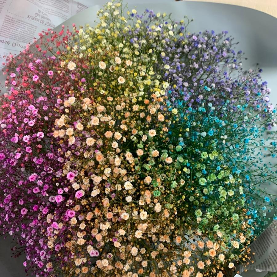 かすみ草花束染めレインボーL誕生日・記念日感謝のお花 : あと かすみ草花束染めレインボーL誕生日・記念日感謝のお花 : あと
