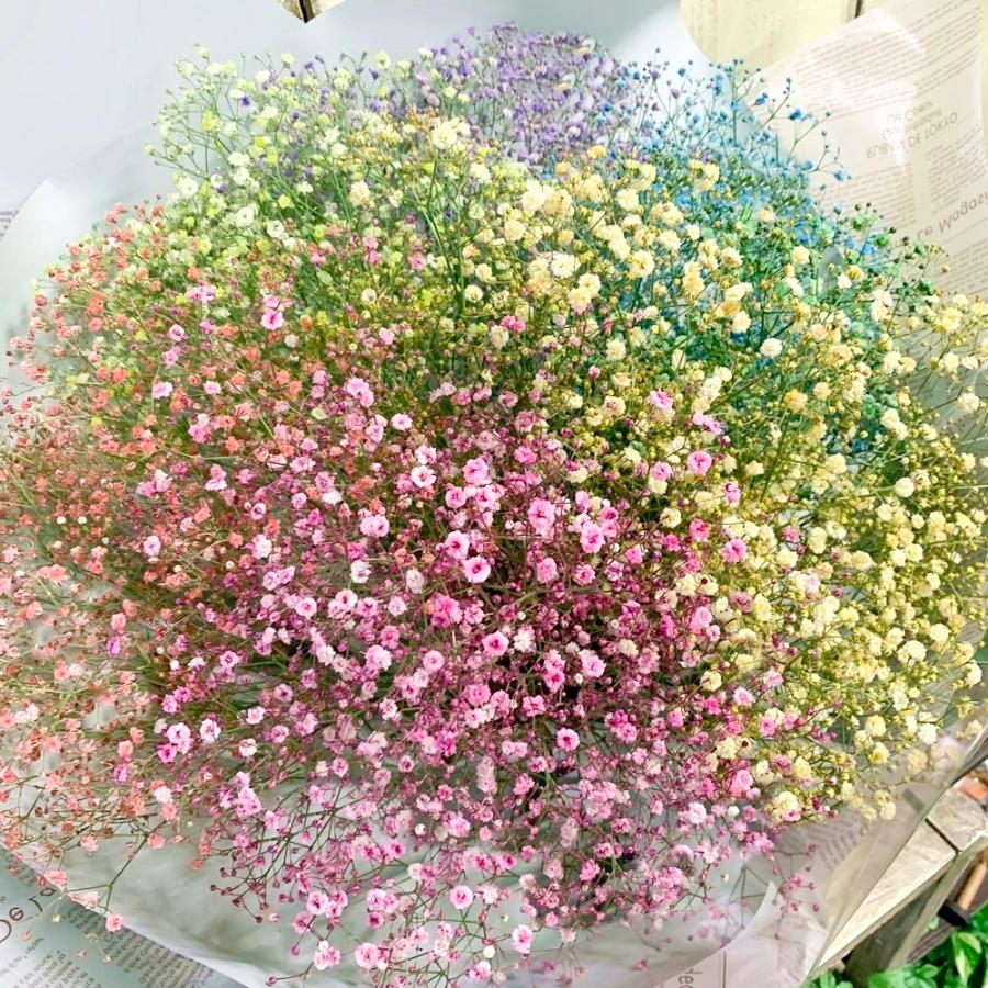 かすみ草花束染めレインボーL誕生日・記念日感謝のお花 : あと かすみ草花束染めレインボーL誕生日・記念日感謝のお花 : あと