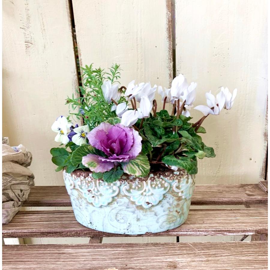 ホワイトガーデンシクラメンアンティーク風オーバルテラコッタ寄せ植え Sale31 あとりえ 悠然 通販 Yahoo ショッピング