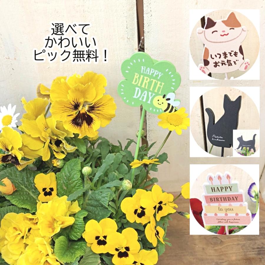ジジ様 リクエスト 2点 まとめ商品 おじじ様 リクエスト 2点 まとめ