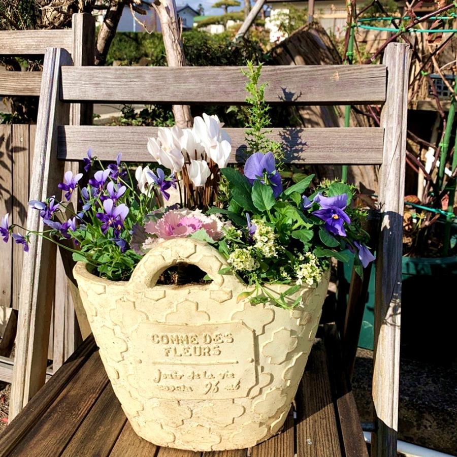 神戸ビオラグラスファイバー鉢寄せ植え Yoseco1013 あとりえ 悠然 通販 Yahoo ショッピング