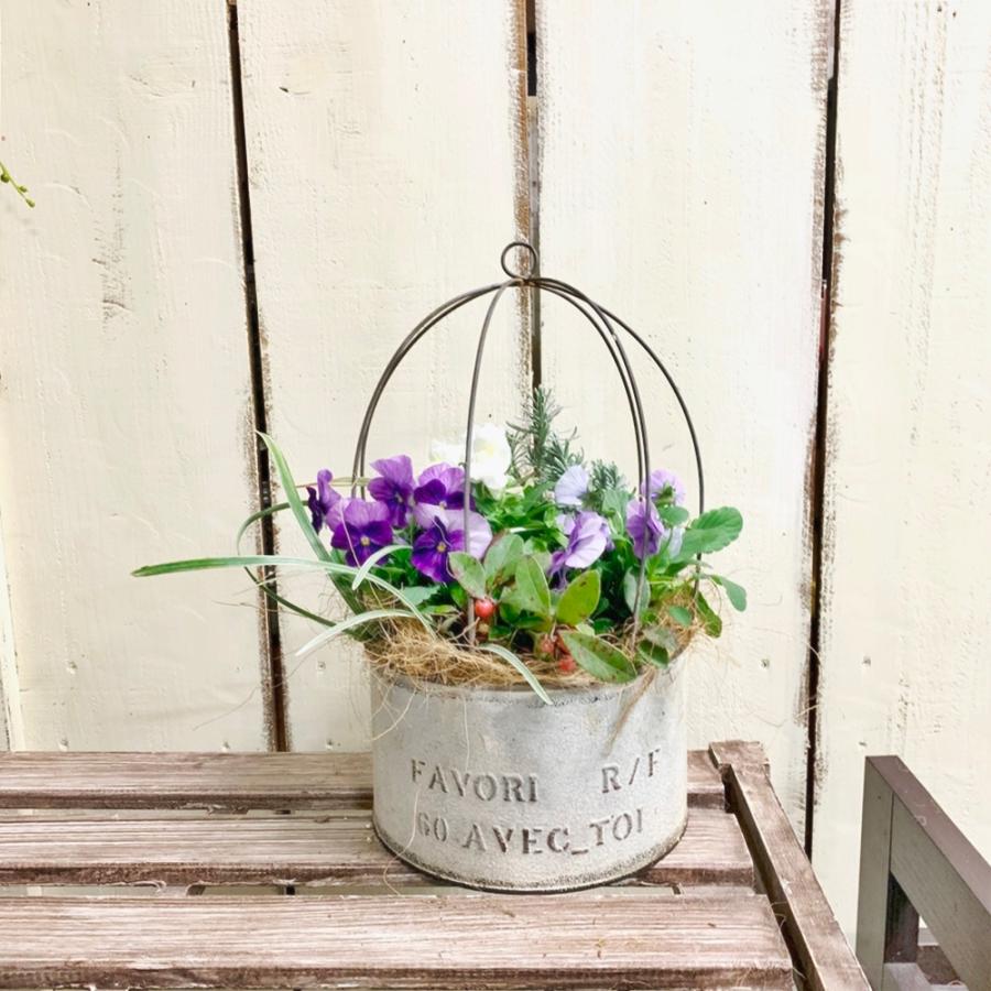 冬花ビオラバードケージ寄せ植え Yosegre35 あとりえ 悠然 通販 Yahoo ショッピング