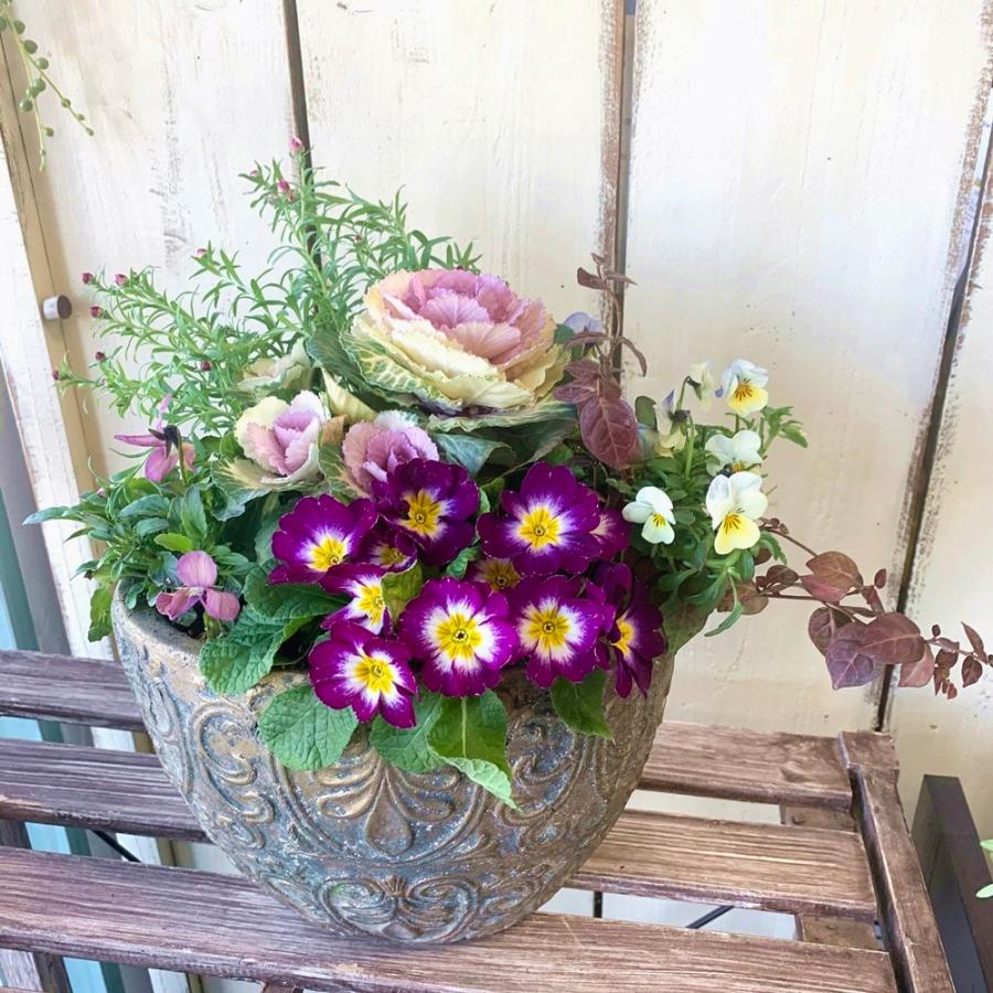 アンティーク調オーバル神戸ビオラグランバニーヴァリアスピンク寄せ植え Yoset96 あとりえ 悠然 通販 Yahoo ショッピング