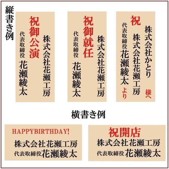 青年の木ユッカ6号開店祝い新築事務所移転インテリアに Yucca6 あとりえ 悠然 通販 Yahoo ショッピング