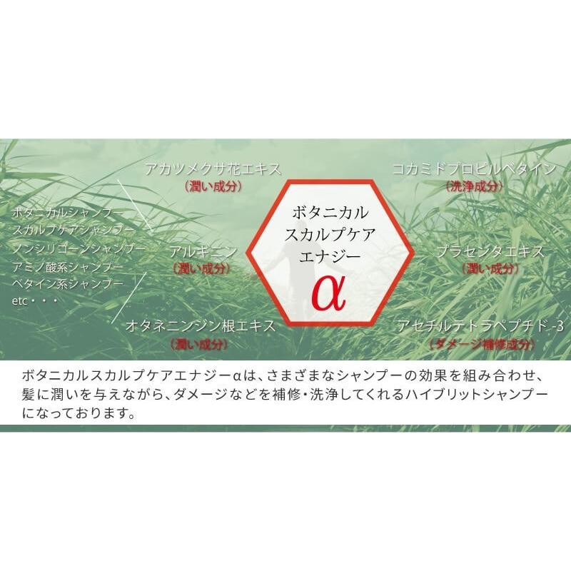 シャンプー 3本 メンズ 頭皮と髪を清潔に スカルプケア メンズコスメ 頭皮ケア フケ かゆみ ボタニカル 男性 At Ux Care 1811 3set 宅配便のみ At Ux Care 1811 3set アトリエ365 通販 Yahoo ショッピング