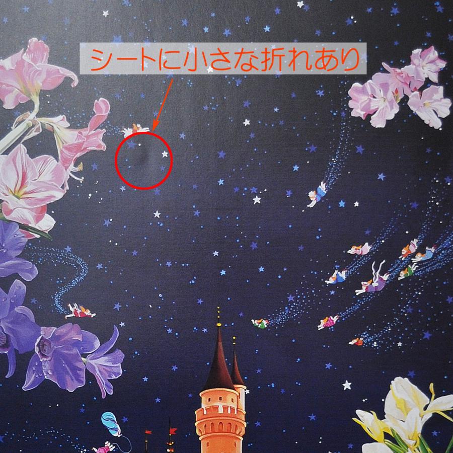 ヒロヤマガタ 額装アートポスター 【DISNEYLAND EVENING】 長期保管 