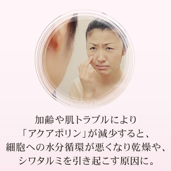 限定生産 プレミアム美容液【リディアル シャンドフルール 120ml