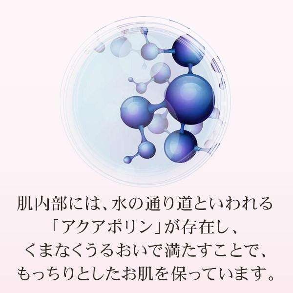 限定生産 プレミアム美容液【リディアル シャンドフルール 120ml