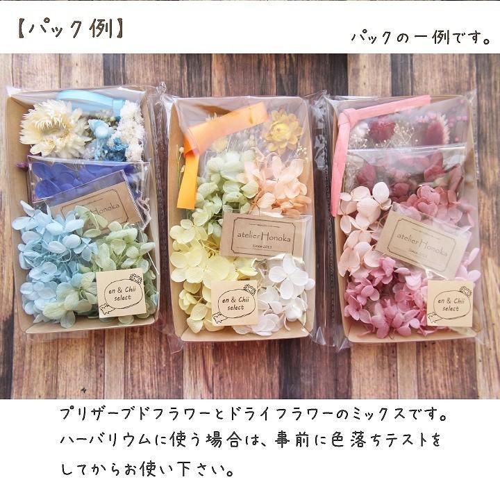 メール便送料無料】enさんchiiさんのお花の福袋 3種セット : あとりえ