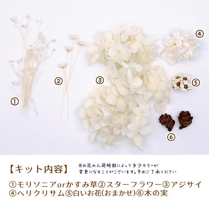 白いお花と木の実のセット 1ケース ハーバリウムやアロマワックスバー 花材 プリザーブドフラワー 紫陽花 アジサイ :ath-2248:あとりえほのか  - 通販 - Yahoo!ショッピング