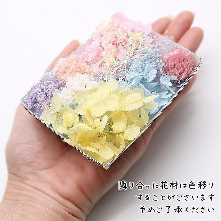 パステルスイート花材セット 1ケース ハーバリウムやアロマワックスバー プリザーブドフラワー 紫陽花 アジサイ  かすみ草｜atelierhonoka｜02